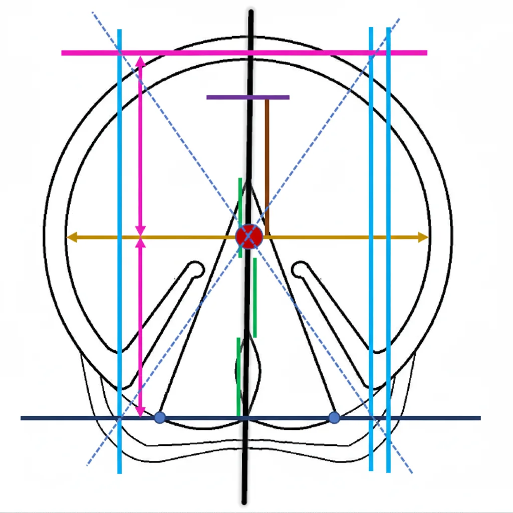 Formation - schéma technique du sabot