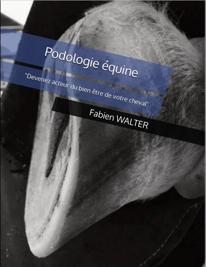 Couverture du livre Podologie équine
